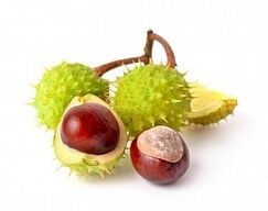 Rosskastanie in HondroFrost für Arthritis